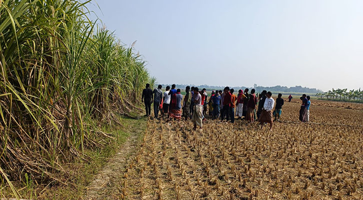 নলডাঙ্গায় আখ ক্ষেতে পড়েছিল অজ্ঞাত ব্যক্তির অর্ধগলিত মরদেহ